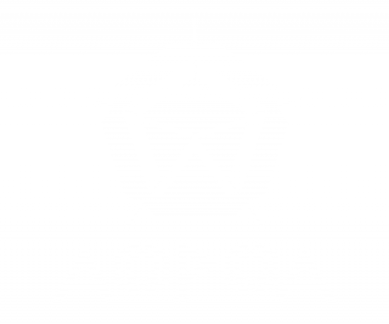 AOPOA_WHITE.png